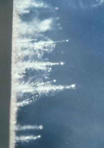 Снимок аэрогеля (фото с сайта www.newscientistspace.com)